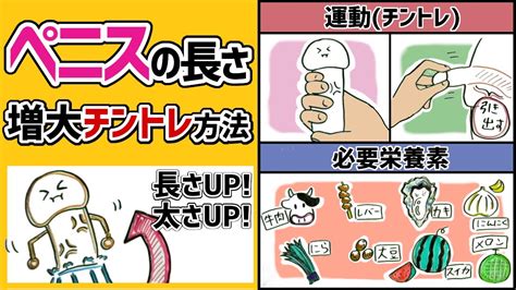 ちんこがでかくなる方法|ちんこを大きくする方法10選｜ペニスを増大成長させ 